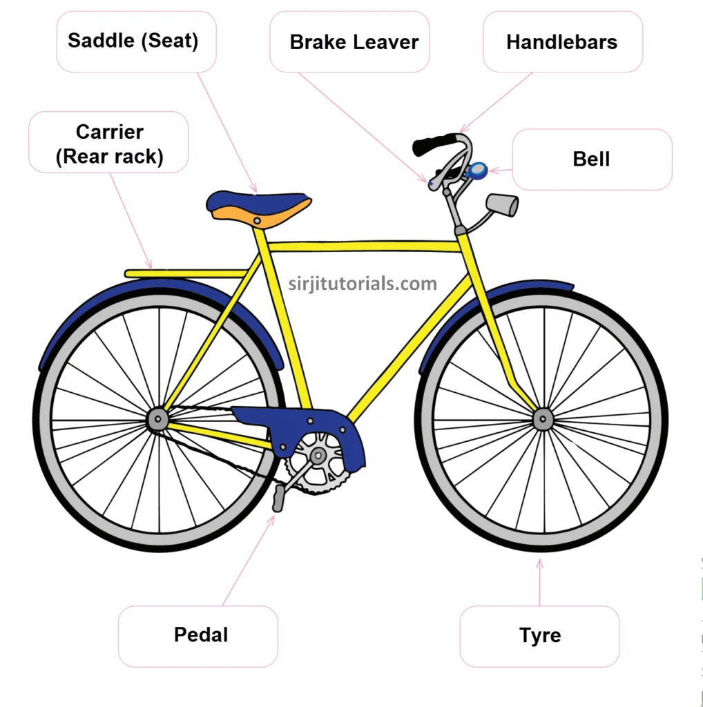 my bicycle essay for class kg