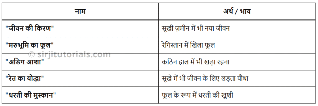 पहली बूंद कविता क्लास 6 हिन्दी मल्हार
