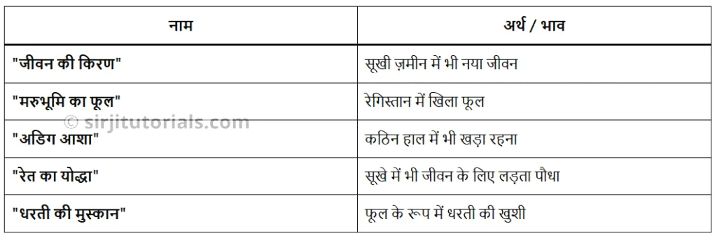 पहली बूंद कविता क्लास 6 हिन्दी मल्हार