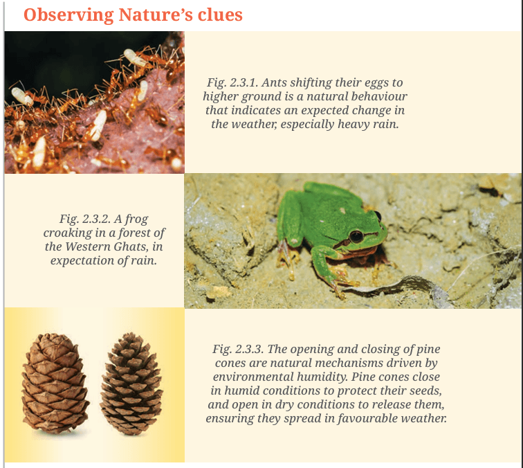 NCERT Class6 Social Science Chapter 2 Understanding the Weather Image page 30 'Observing Nature’s clues' #SirjiNotesC7